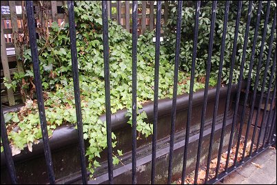 Horse trough
